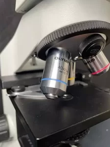 Olympus CX-21FS2 laboratory microscope